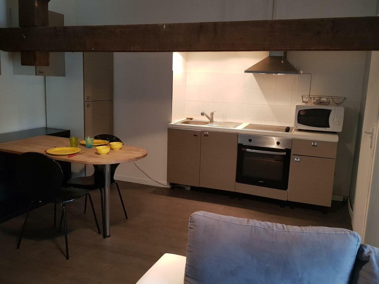 Les Studios De La Rose Des Vents Sathonay-Camp エクステリア 写真